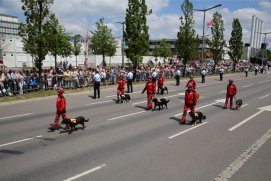 Fédération Nationale des Pompiers